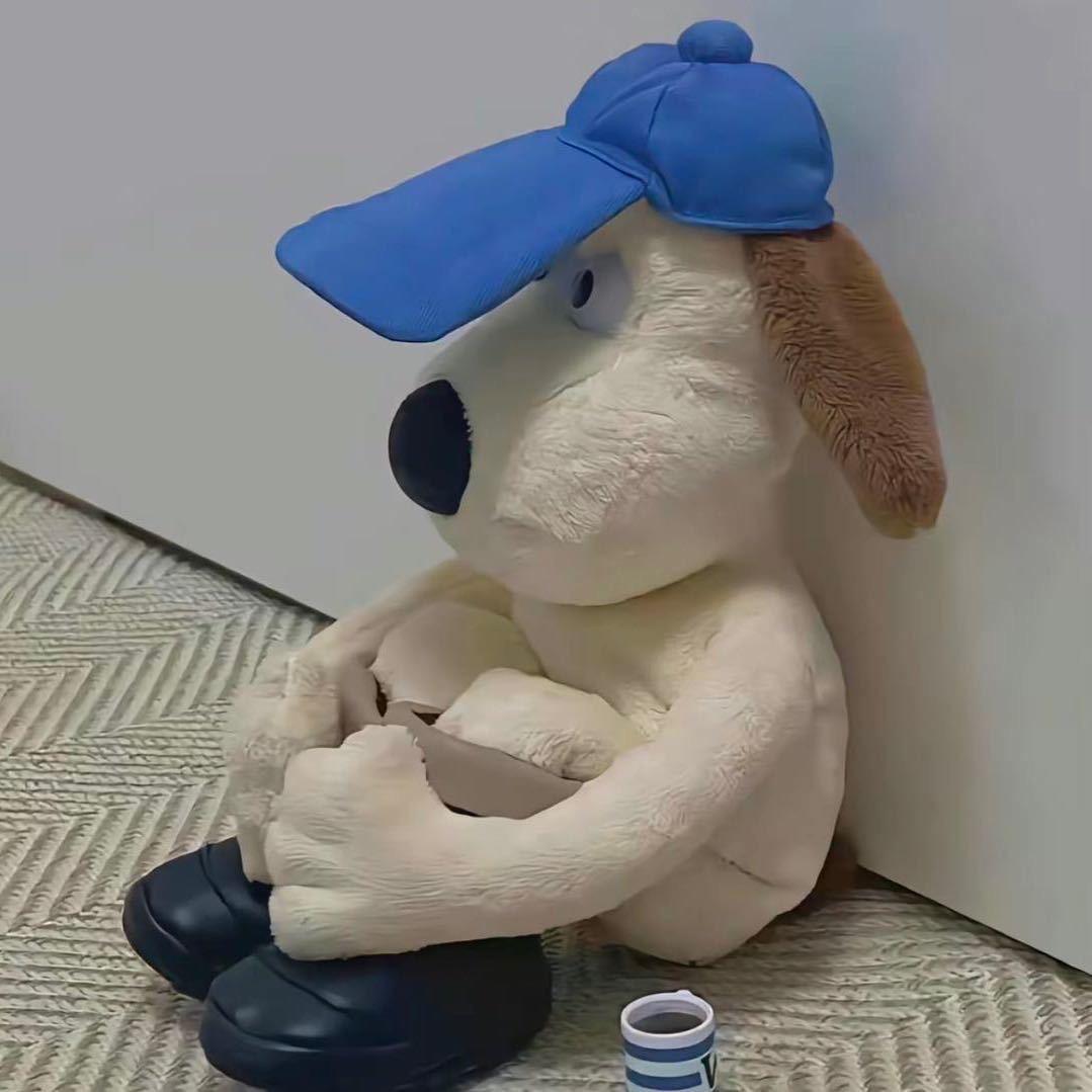 那家那苒苒