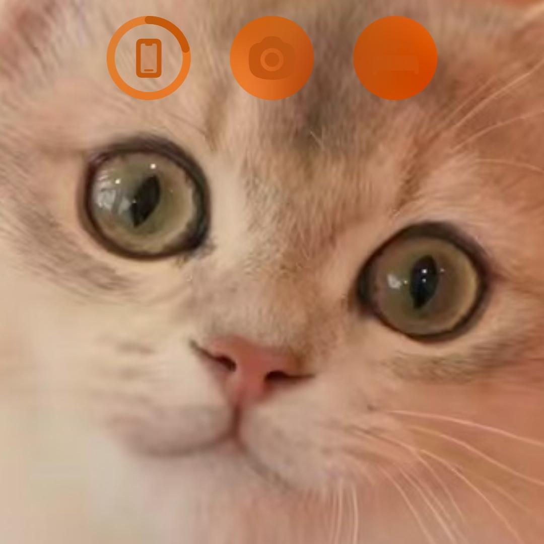 嘟人