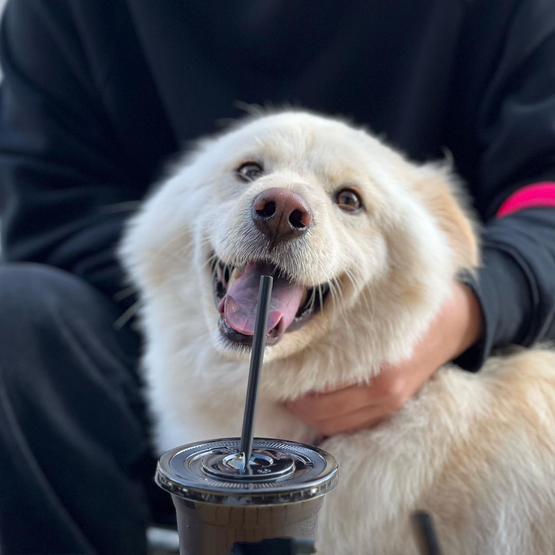 小熊不是晟