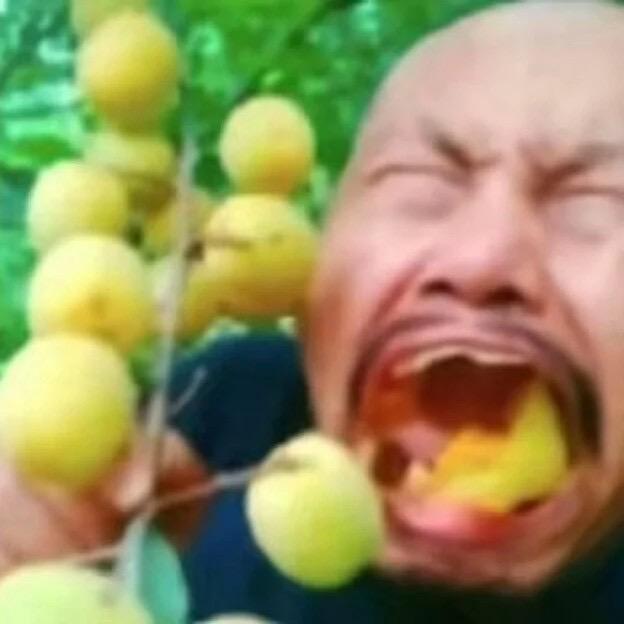 凯丶
