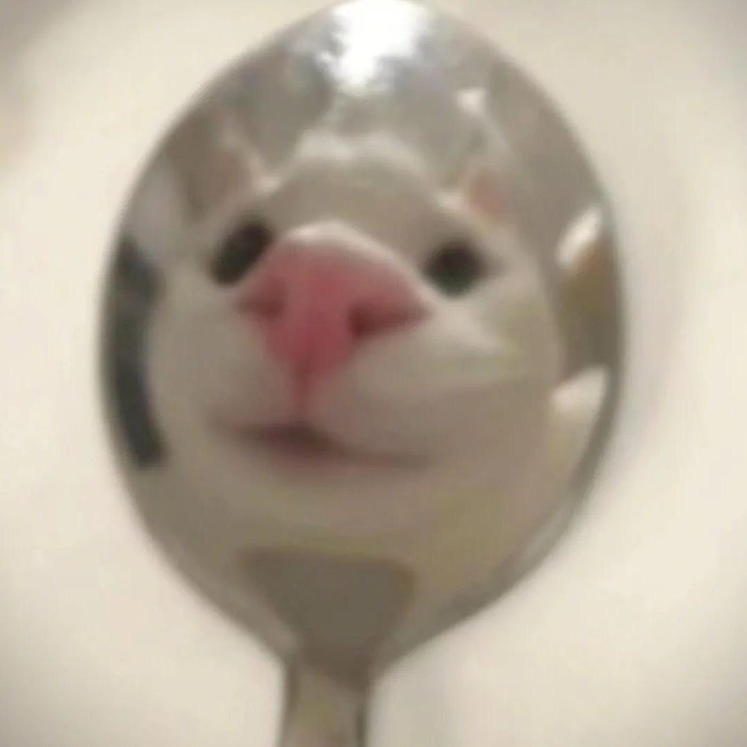 维c