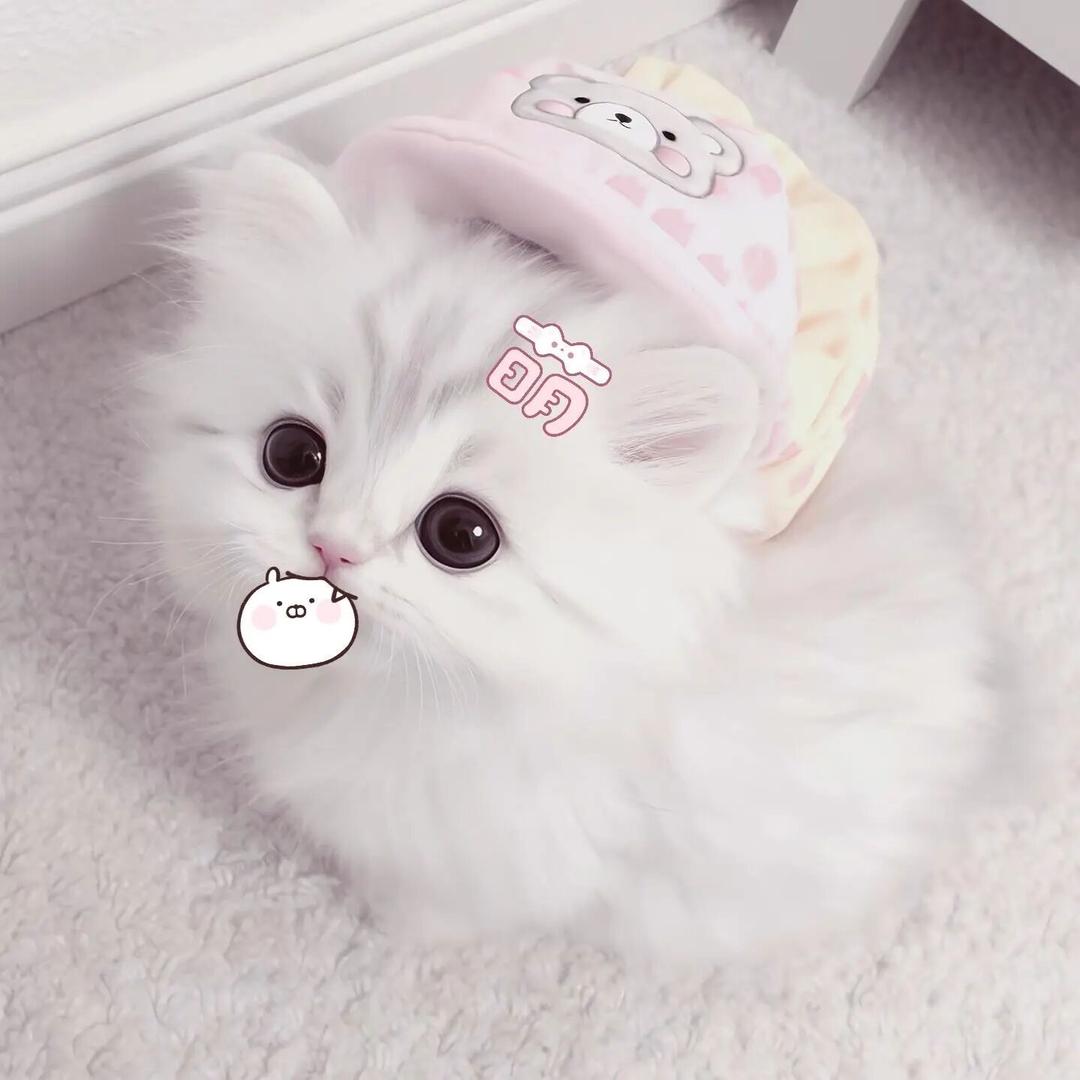 ꔷ × ꔷ