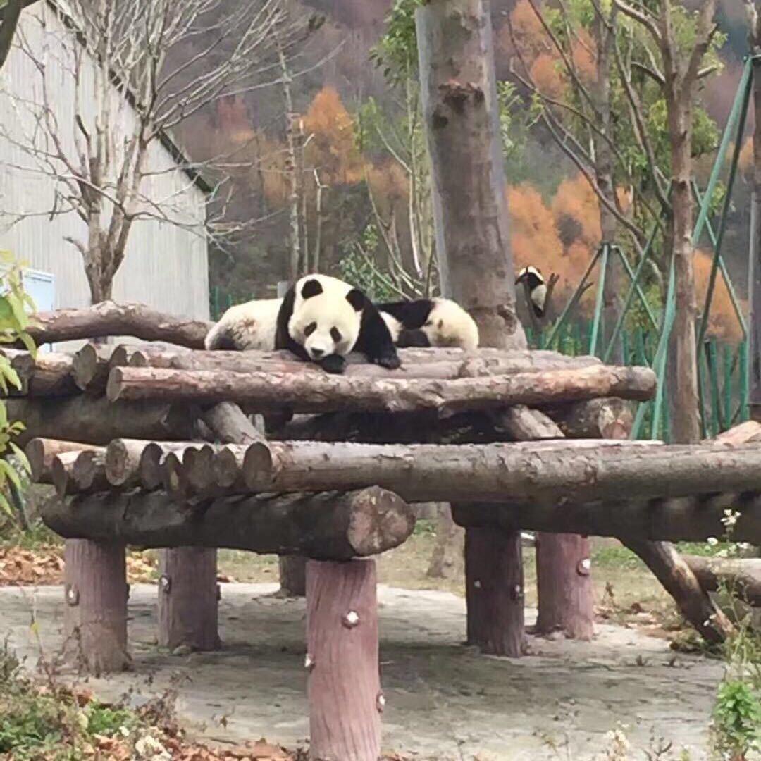 海的那边