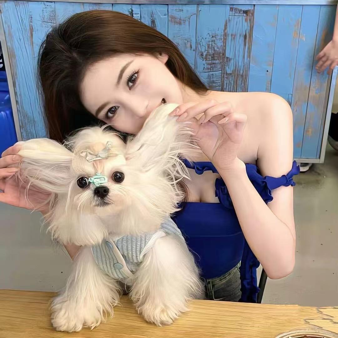 锦纯