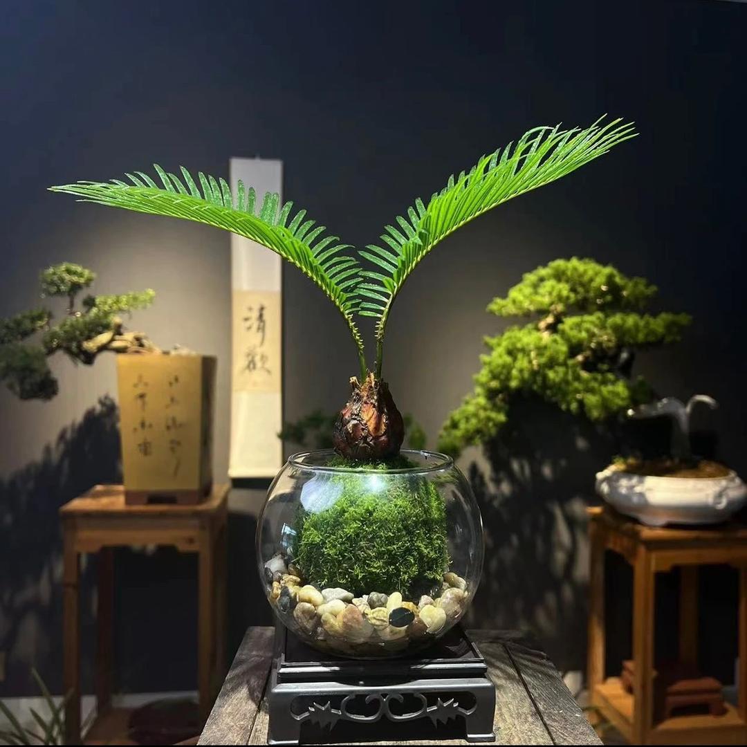 杨姐在卖花