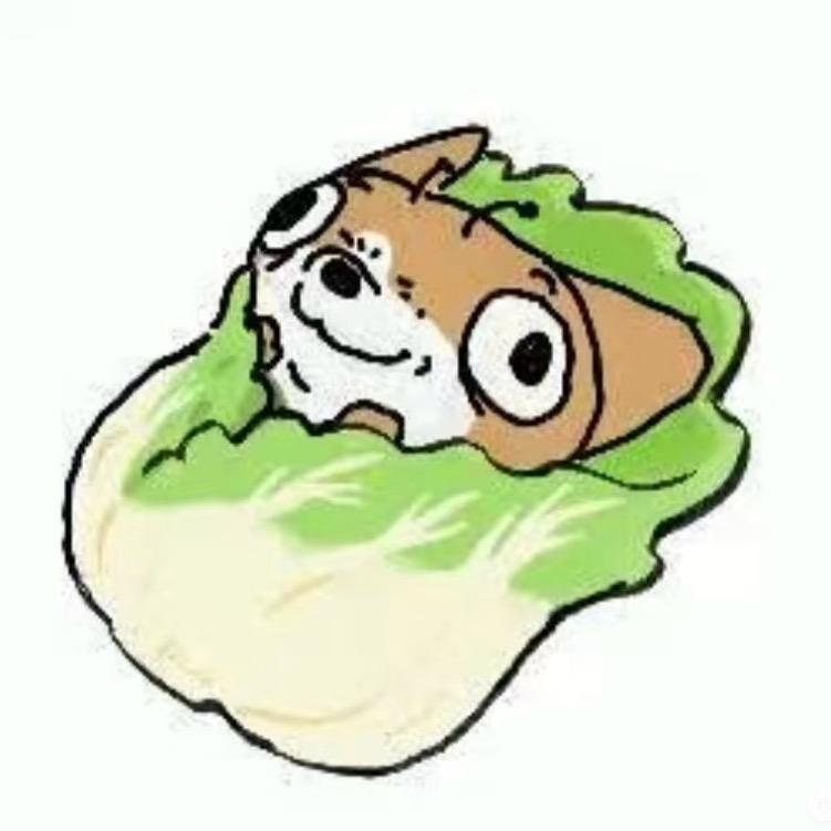 生菜汪汪
