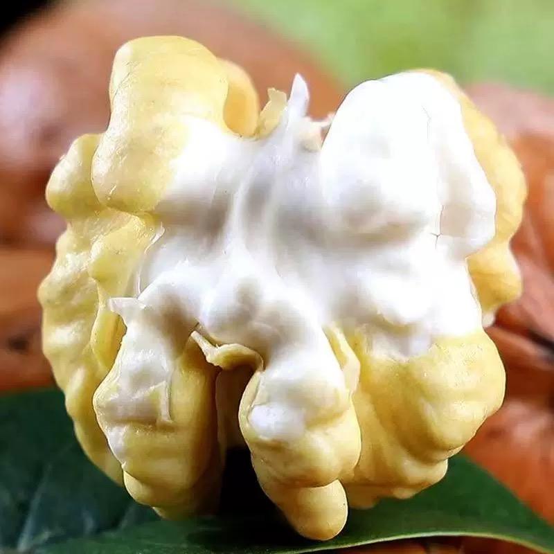 凯迪新疆特产