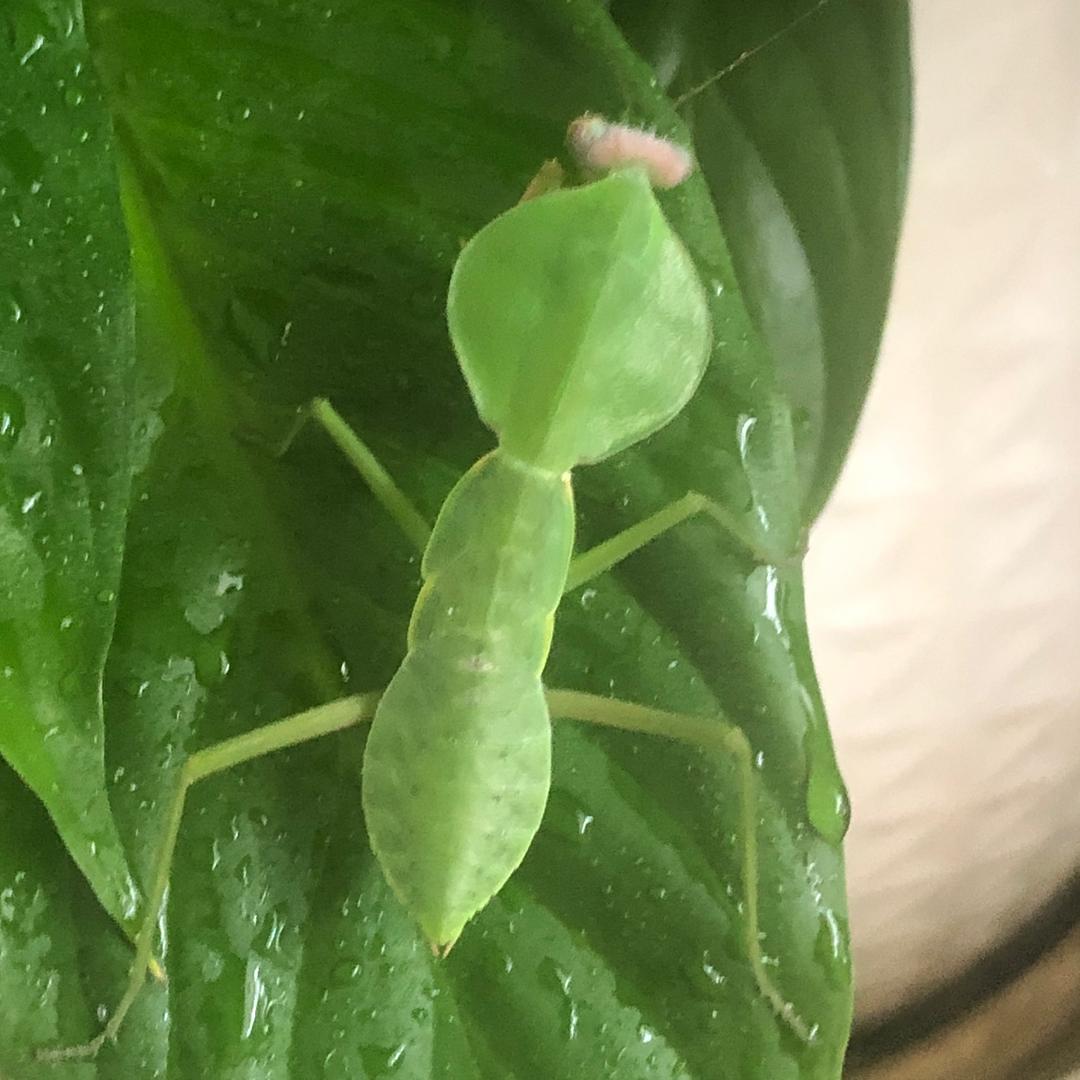 水聿白告