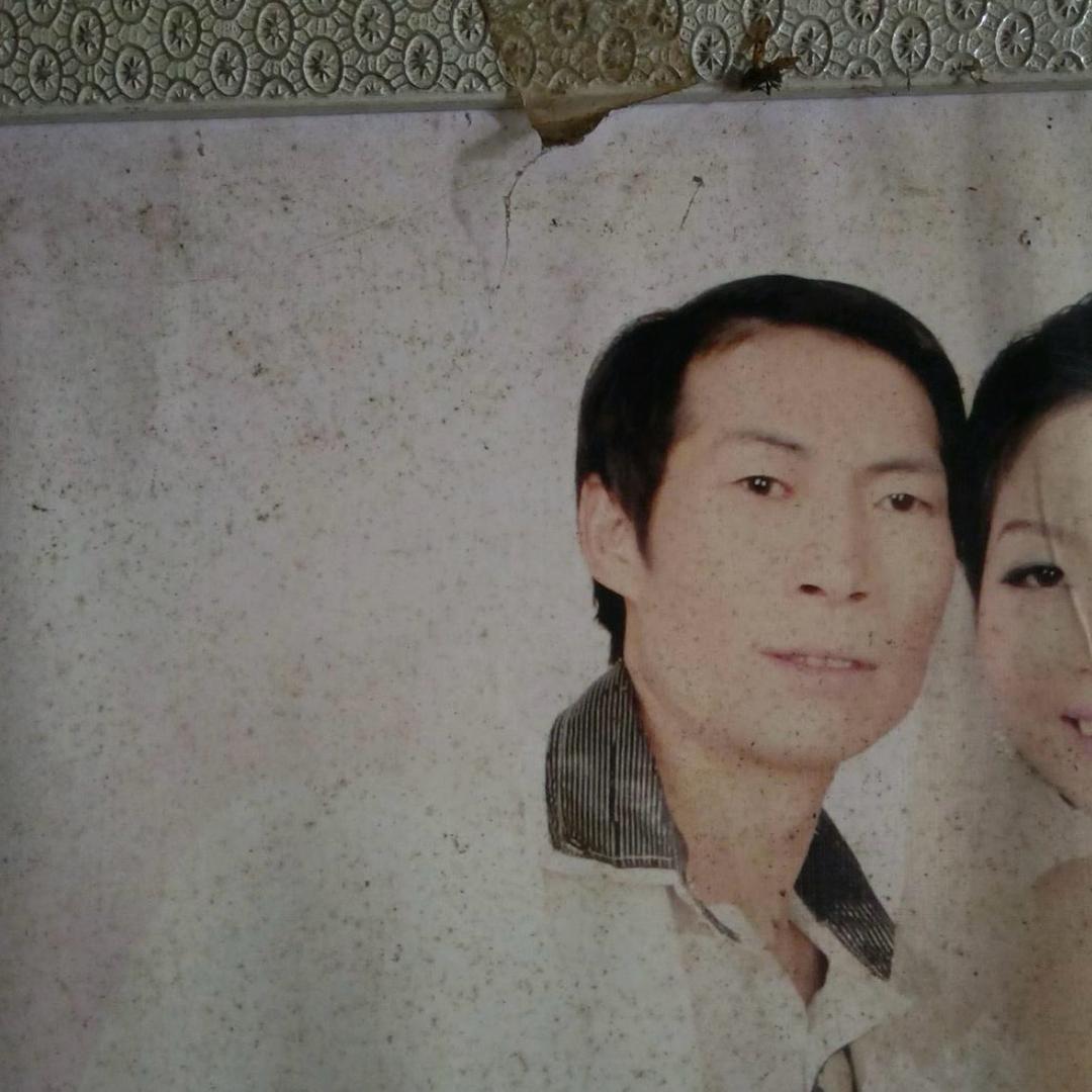 平哥爱玩狗