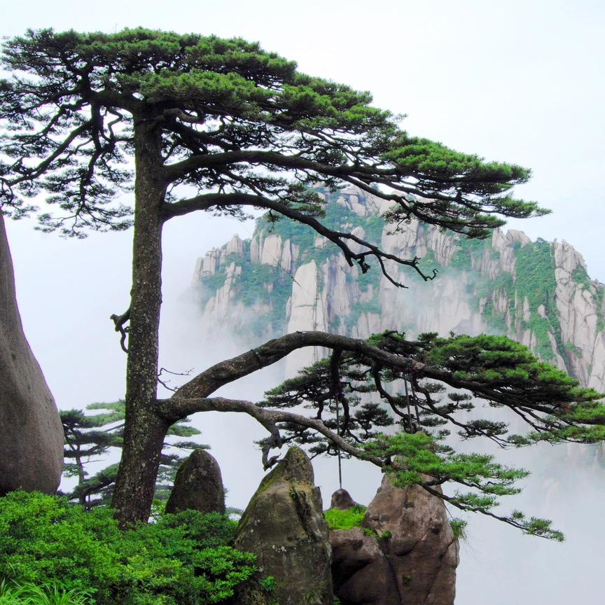 黄山风景区