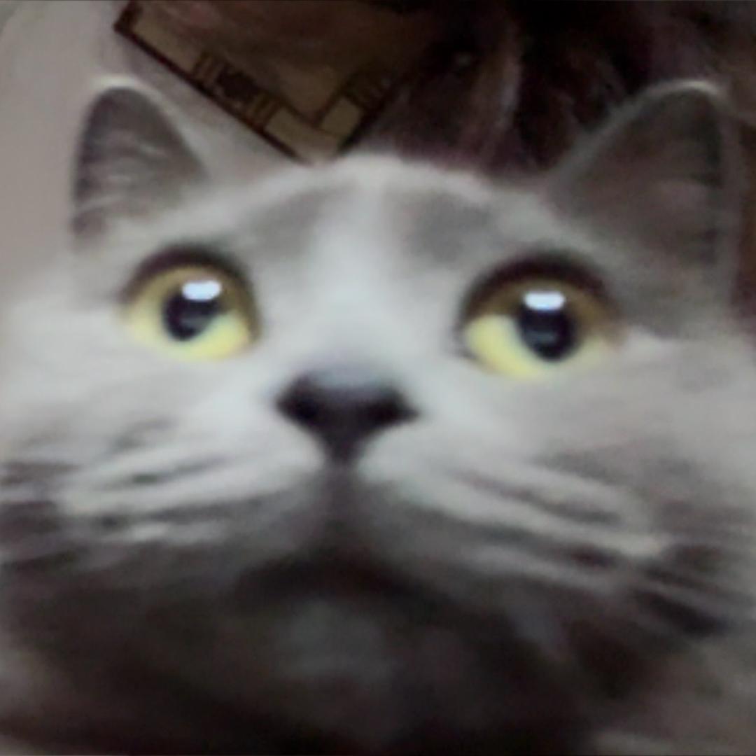 烧酒