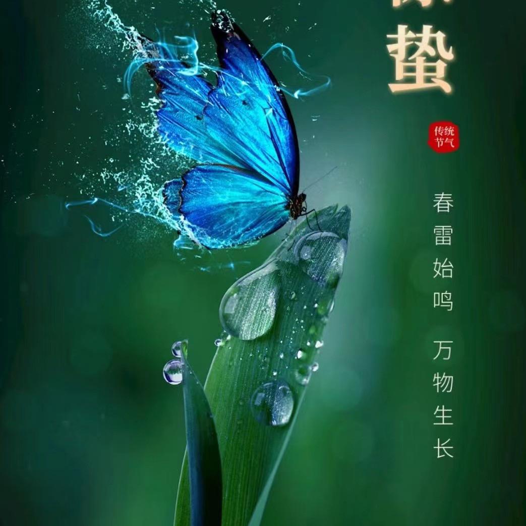 ﻩ ㅤㅤ︃ㅤ︃︅︄︃平平淡淡