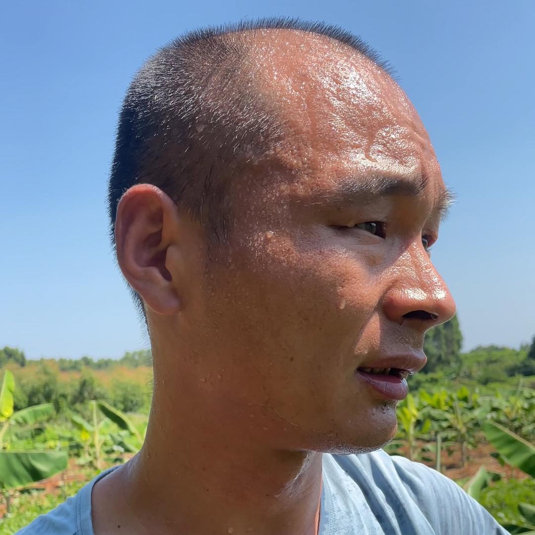 大伟进城