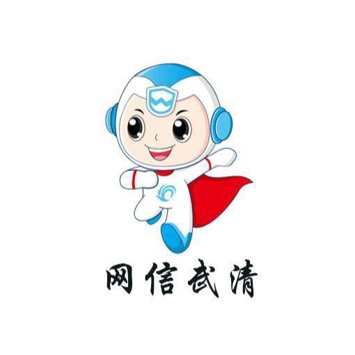 网信武清