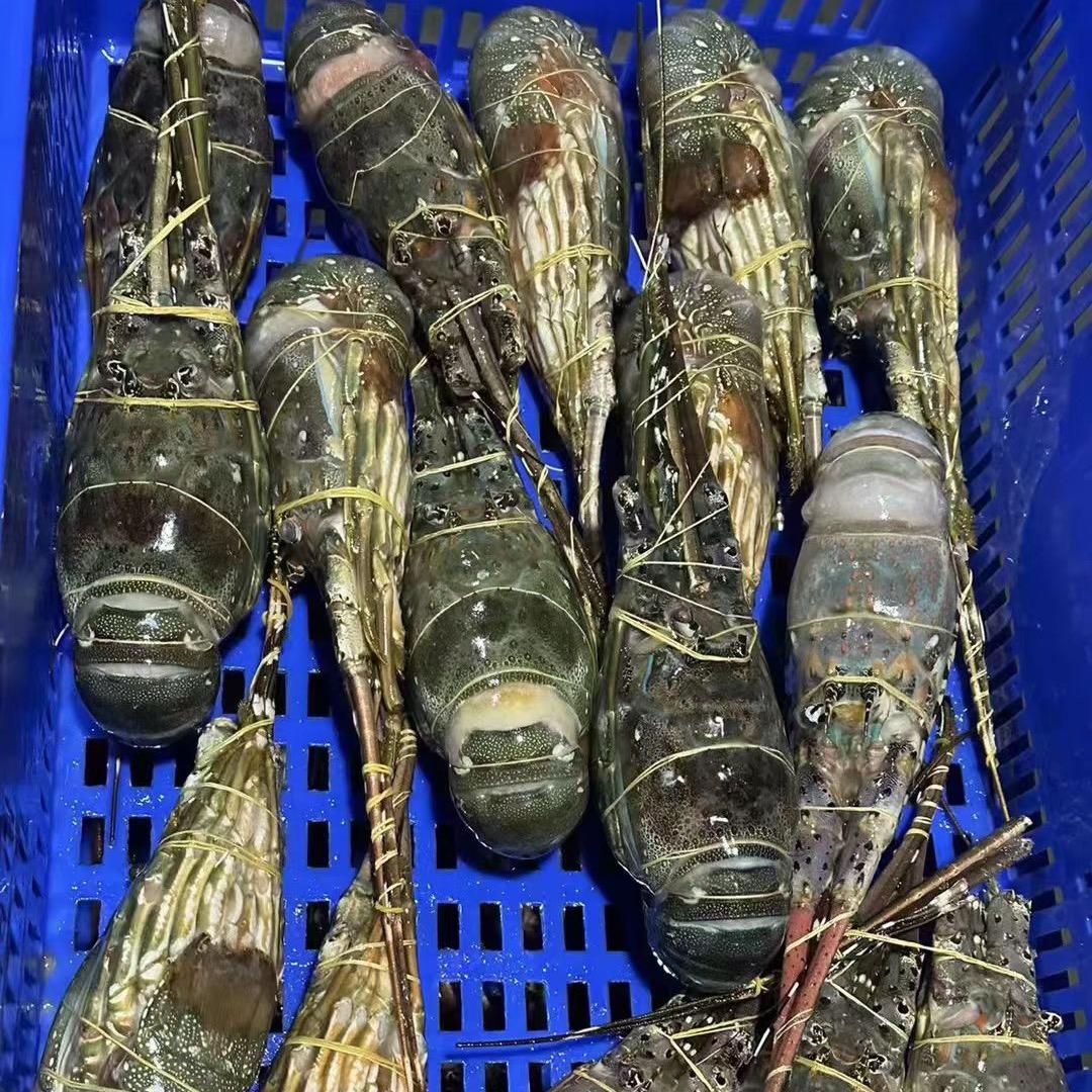 食材汇