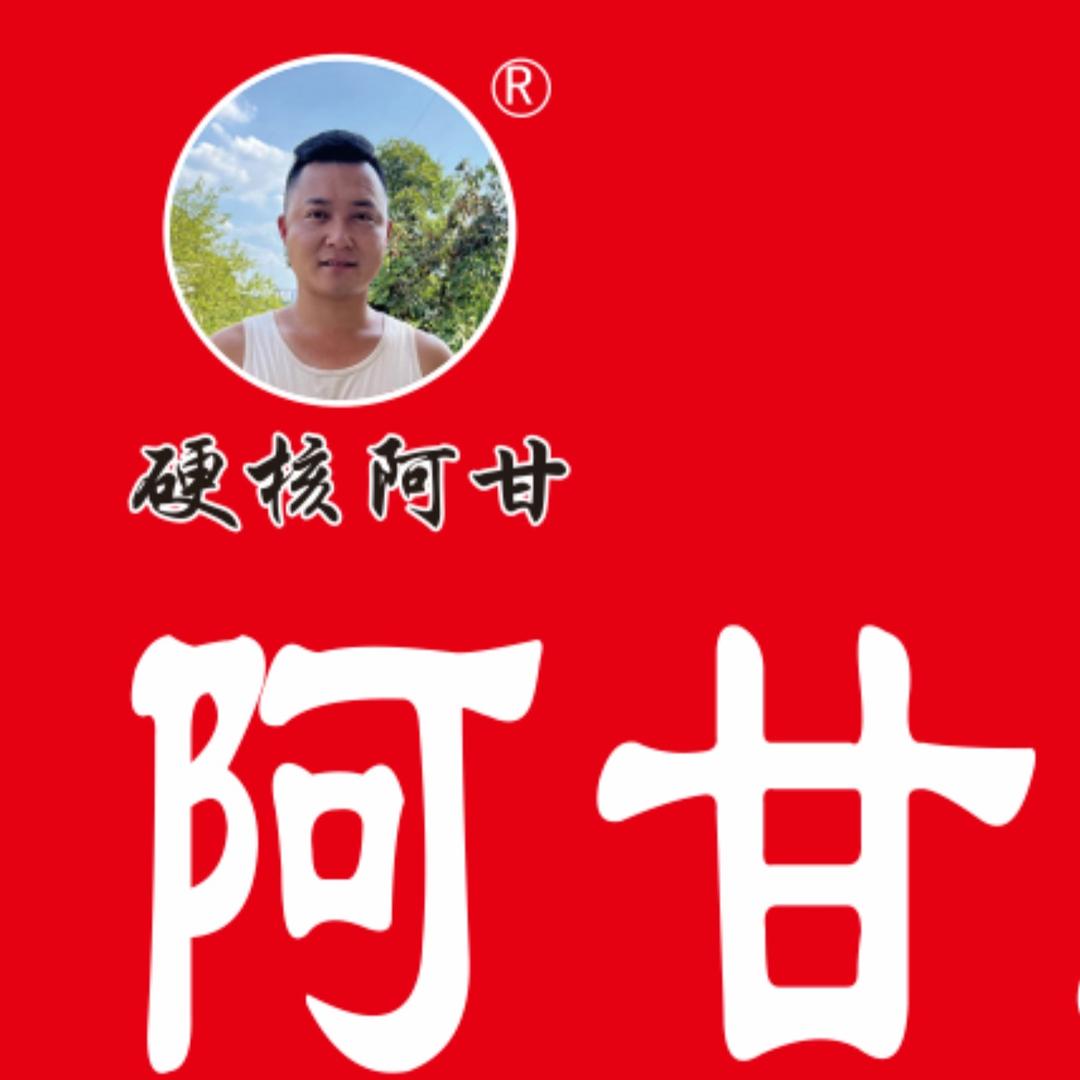 阿甘工作室