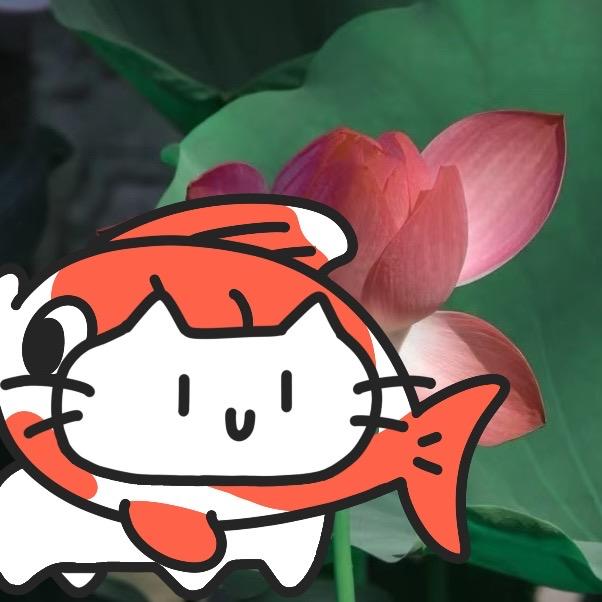 qsw最强的