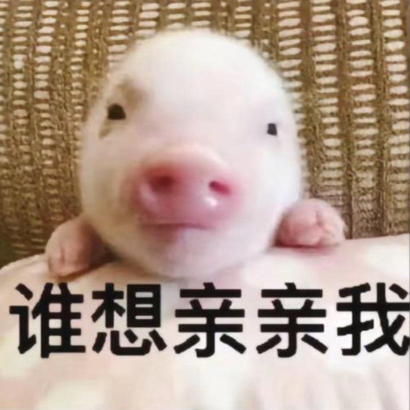 哭包小琳