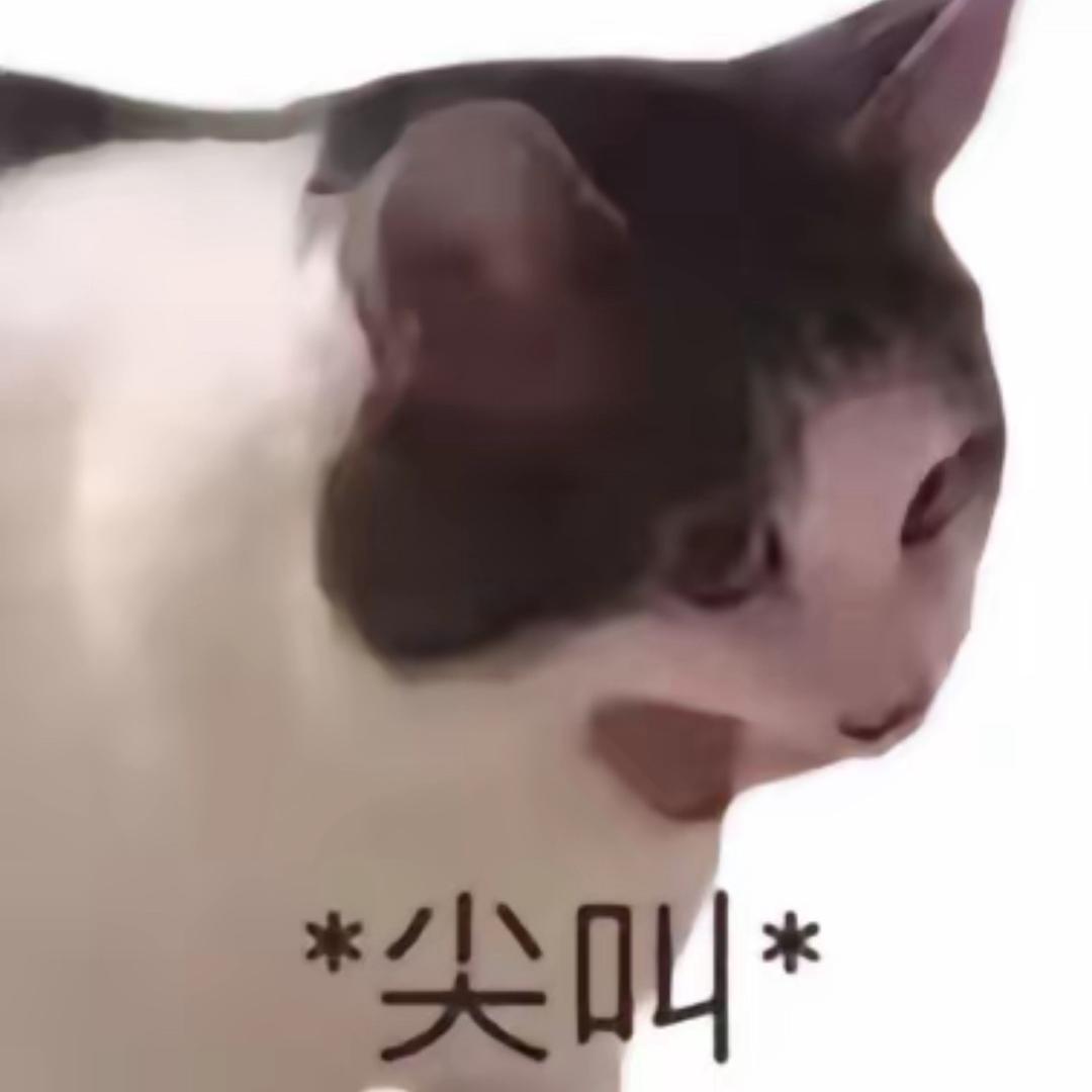 职业车混（郭老师）
