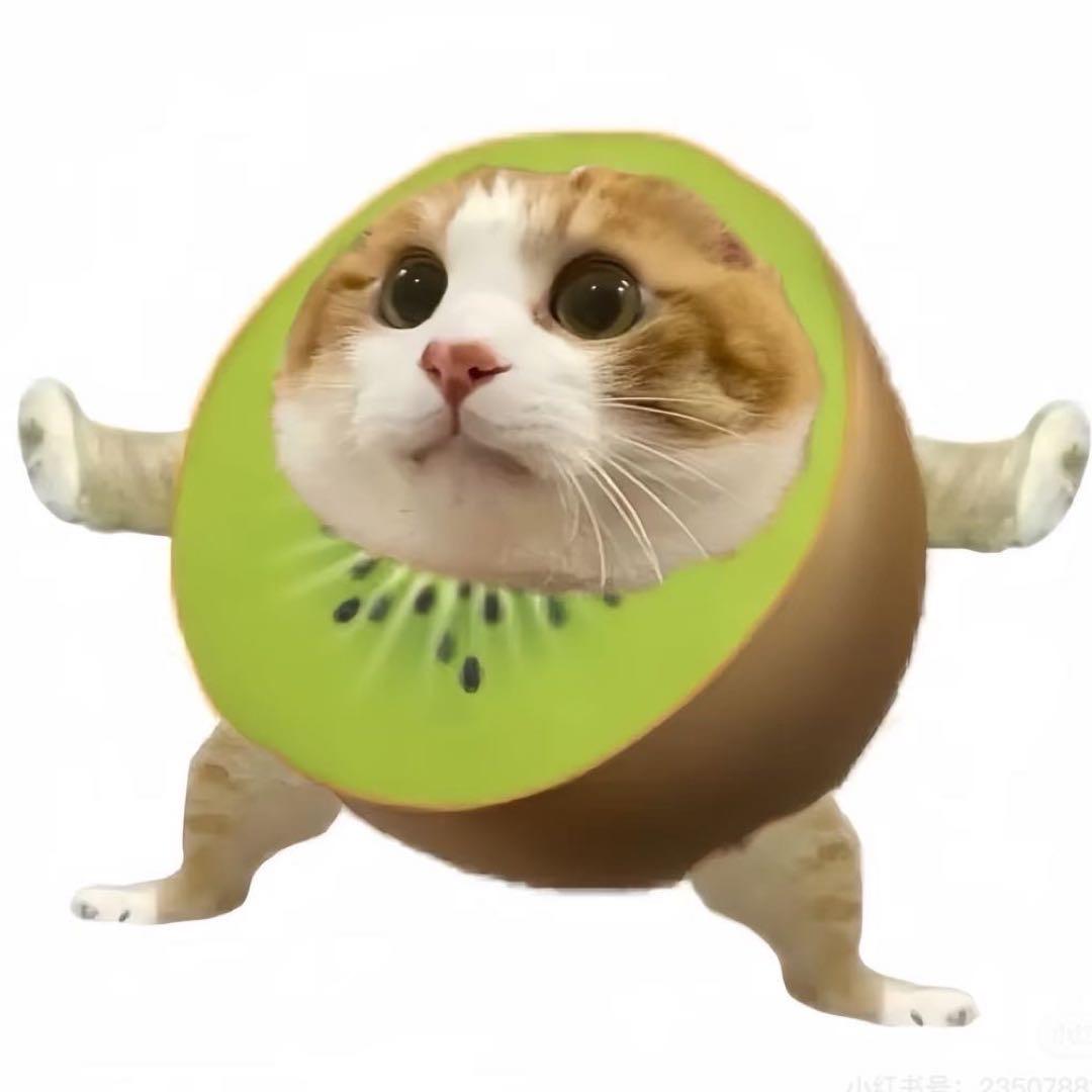 水水