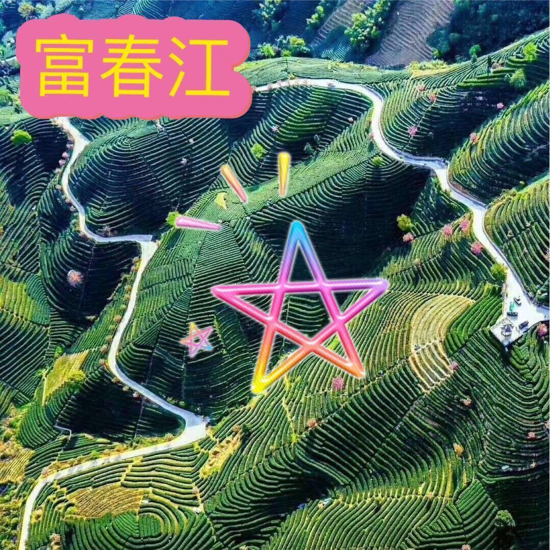 富春佳茶叶店