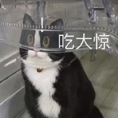 无忌无忌无力无力