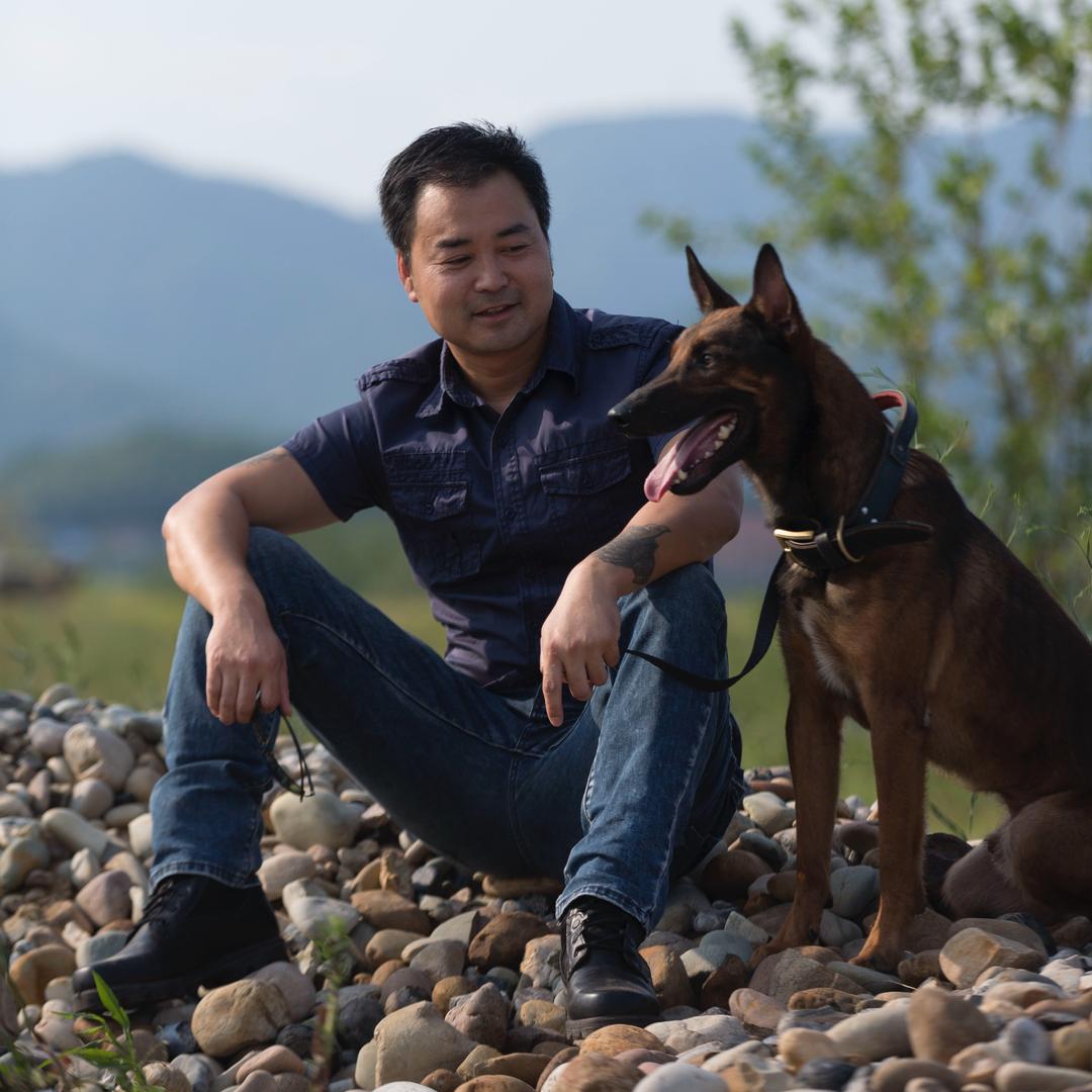 荷兰knpv马犬（黑色k9瞿勇）