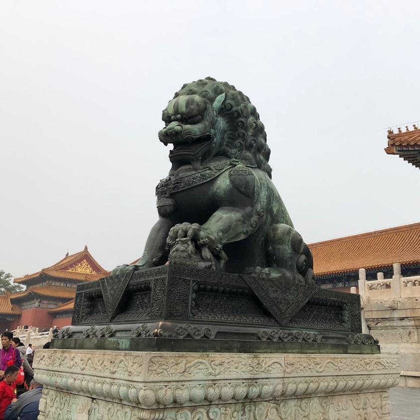 清华栋哥编程