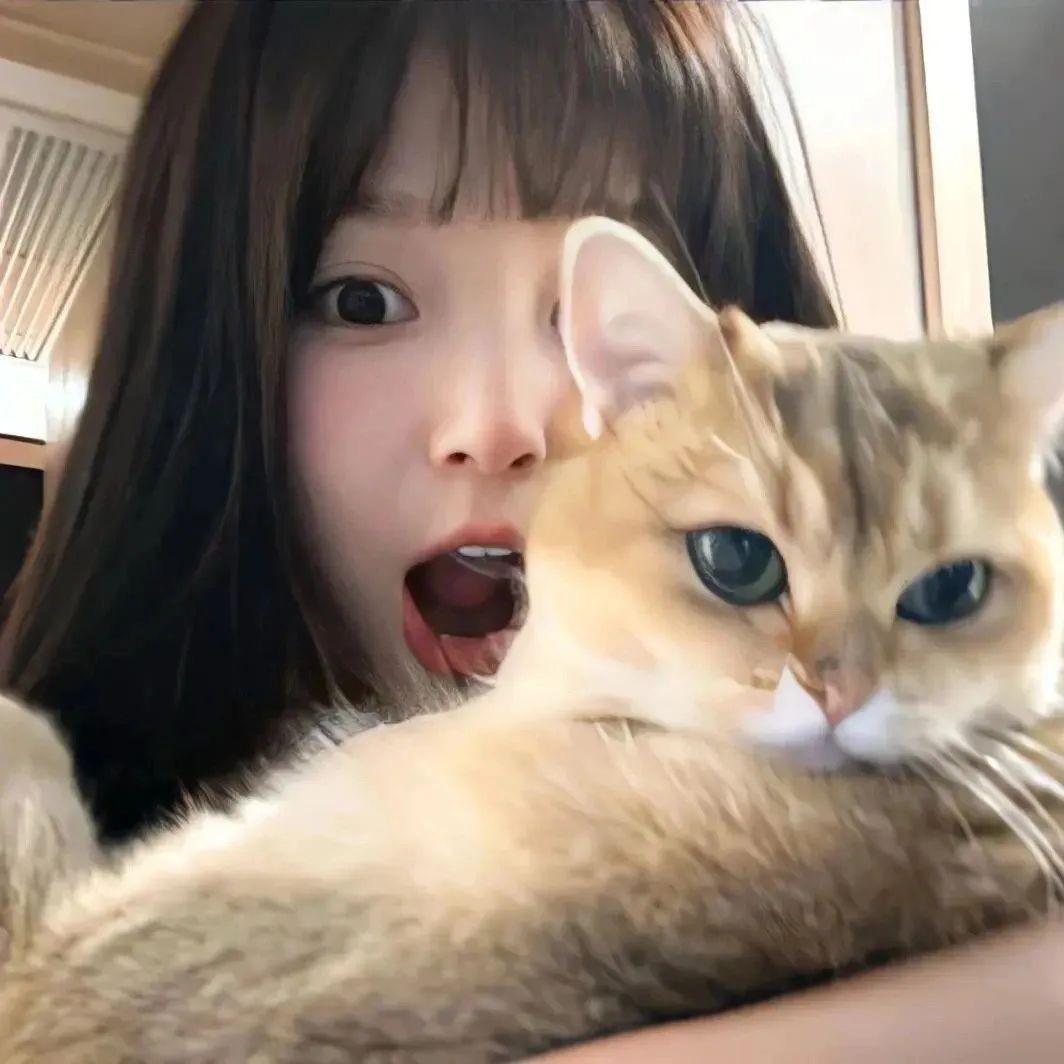 土豆爆爆