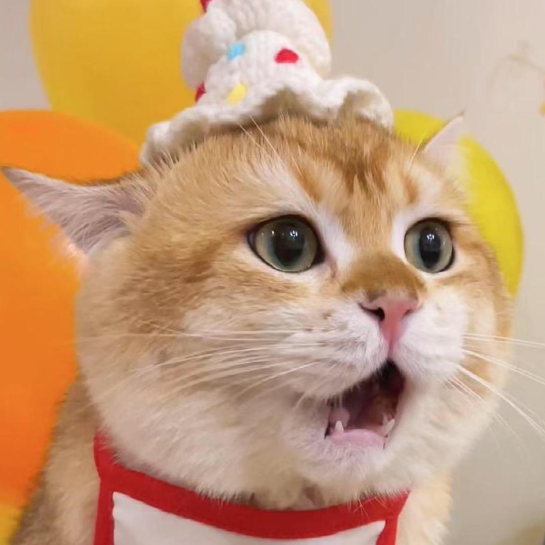 开水胡迪