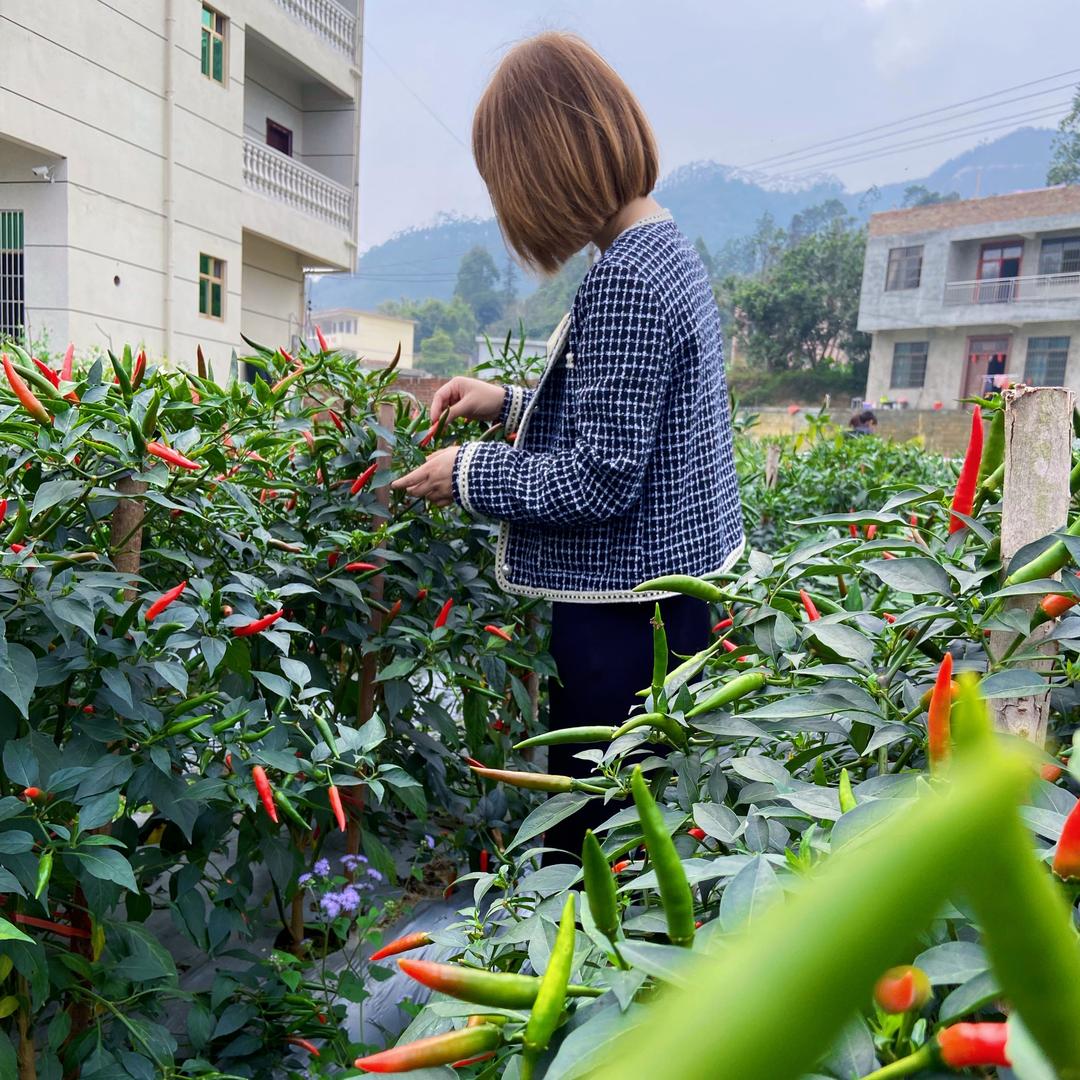 朱妹妹
