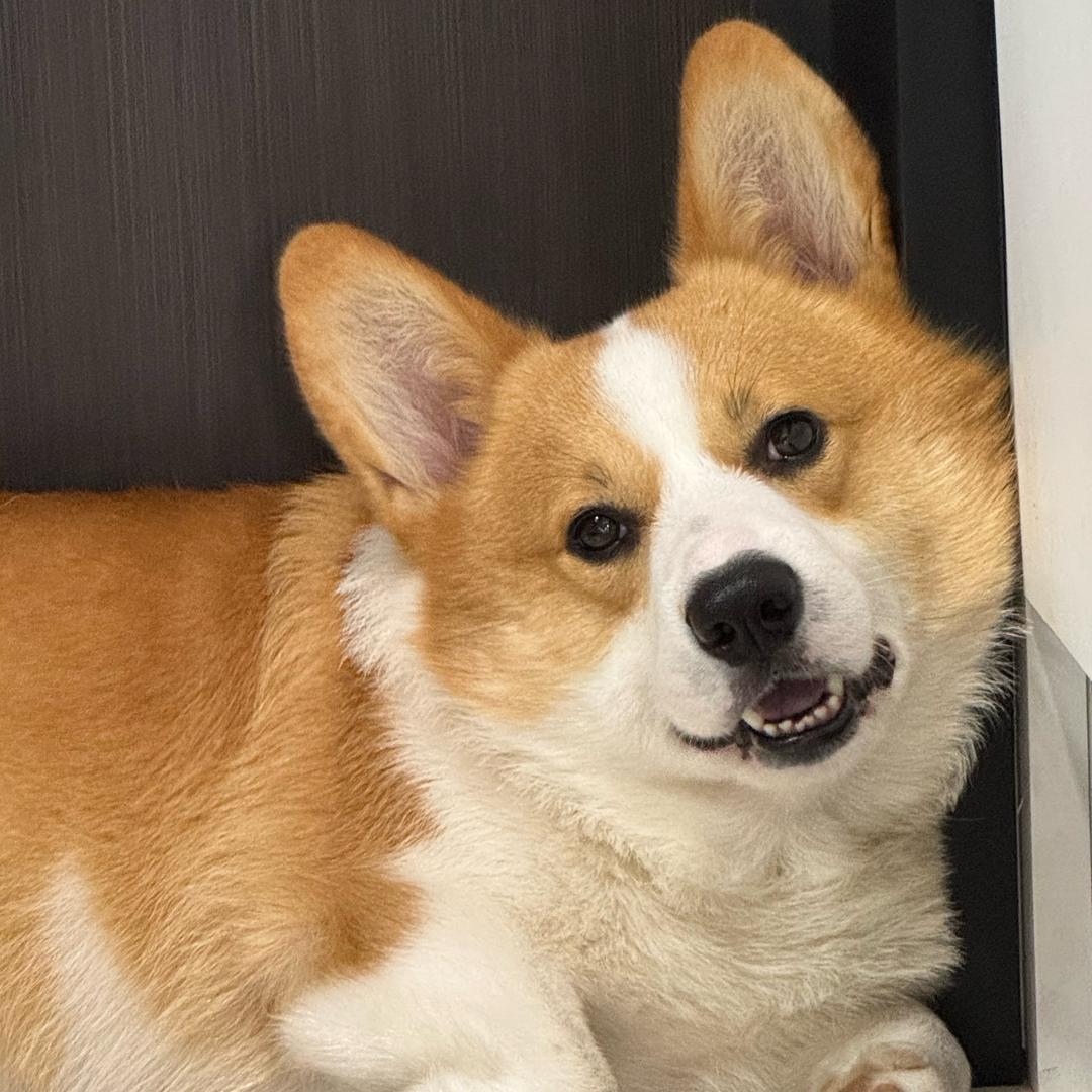 禄禄妈