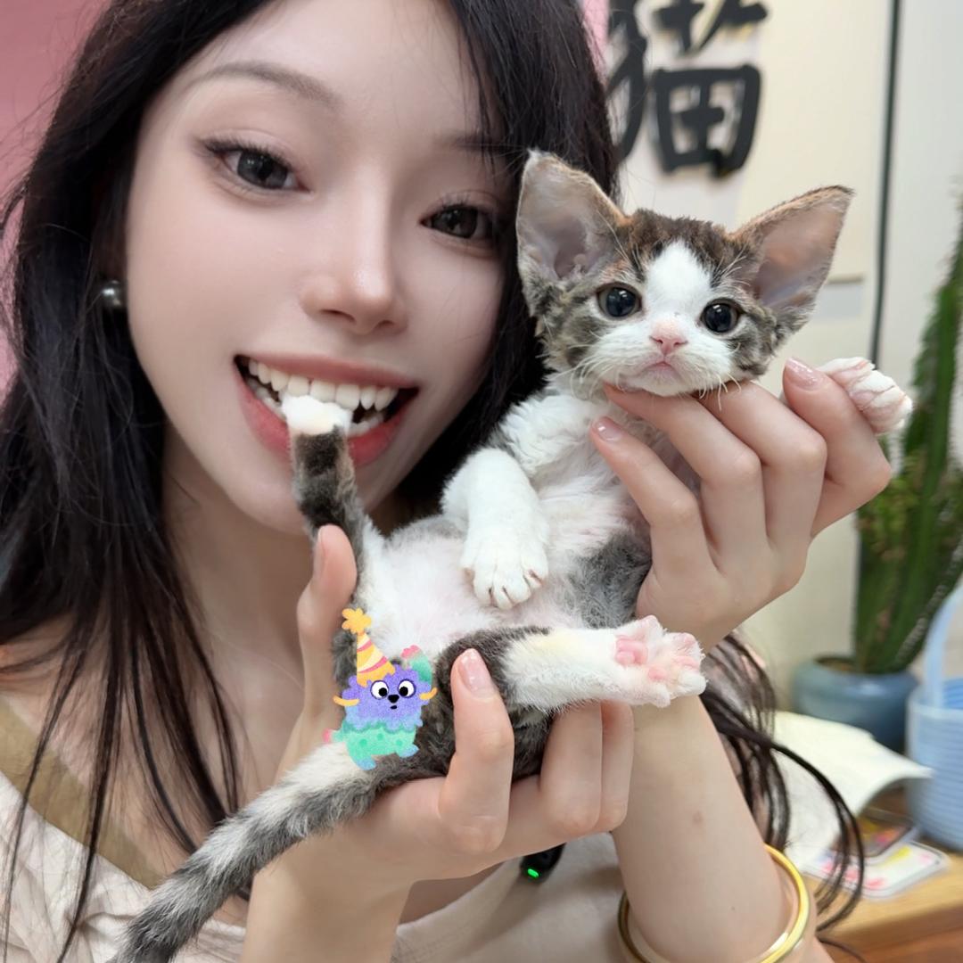 然然咪的德文猫舍