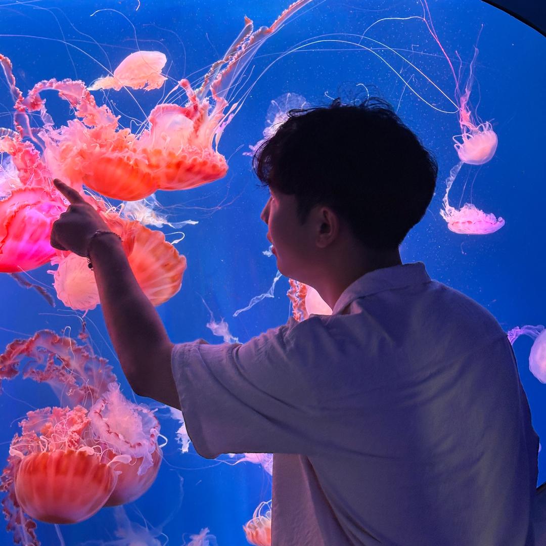 陈陳陈陳