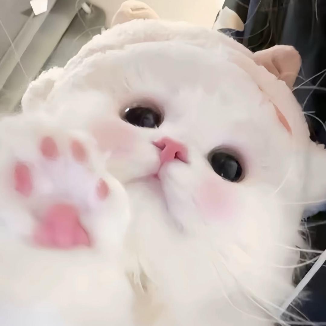凉白开