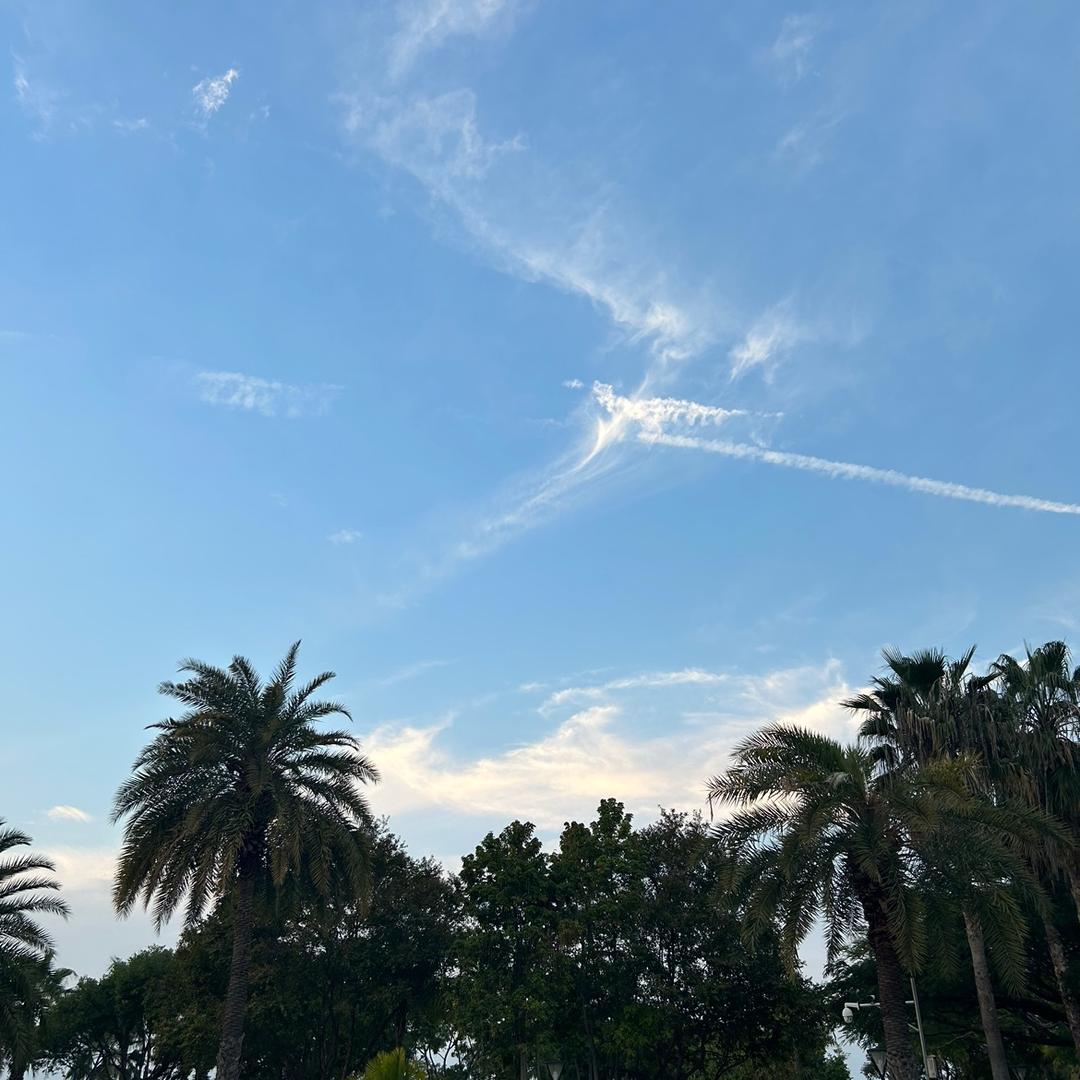 小王的小天地