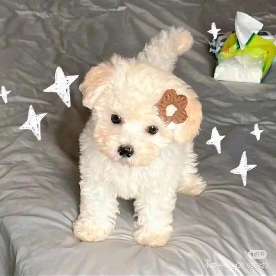 不能熬夜啦