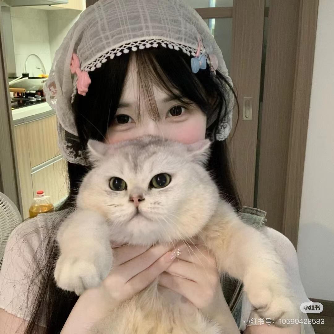 理发的胡萝卜🥕