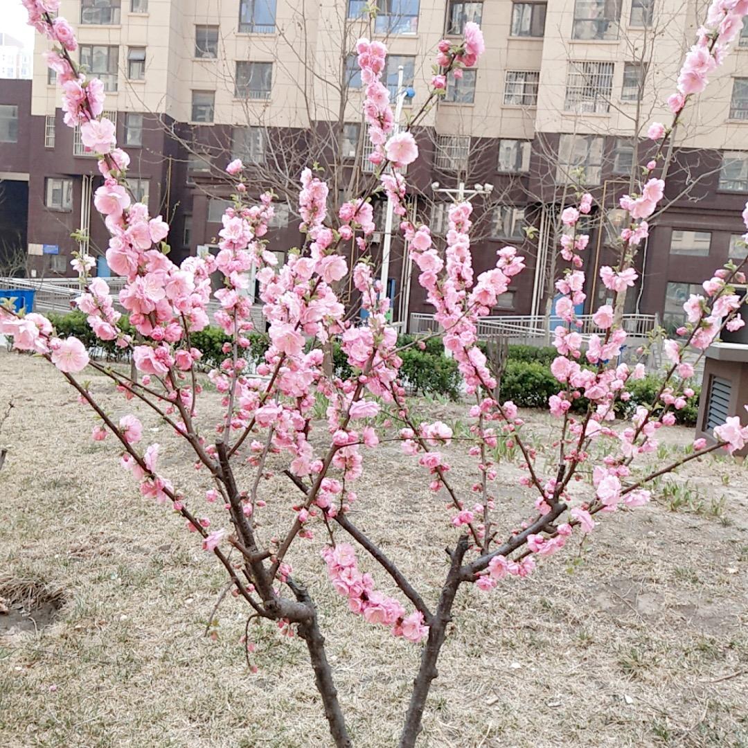 新的开始