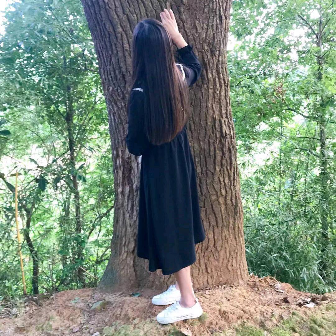 丹丹