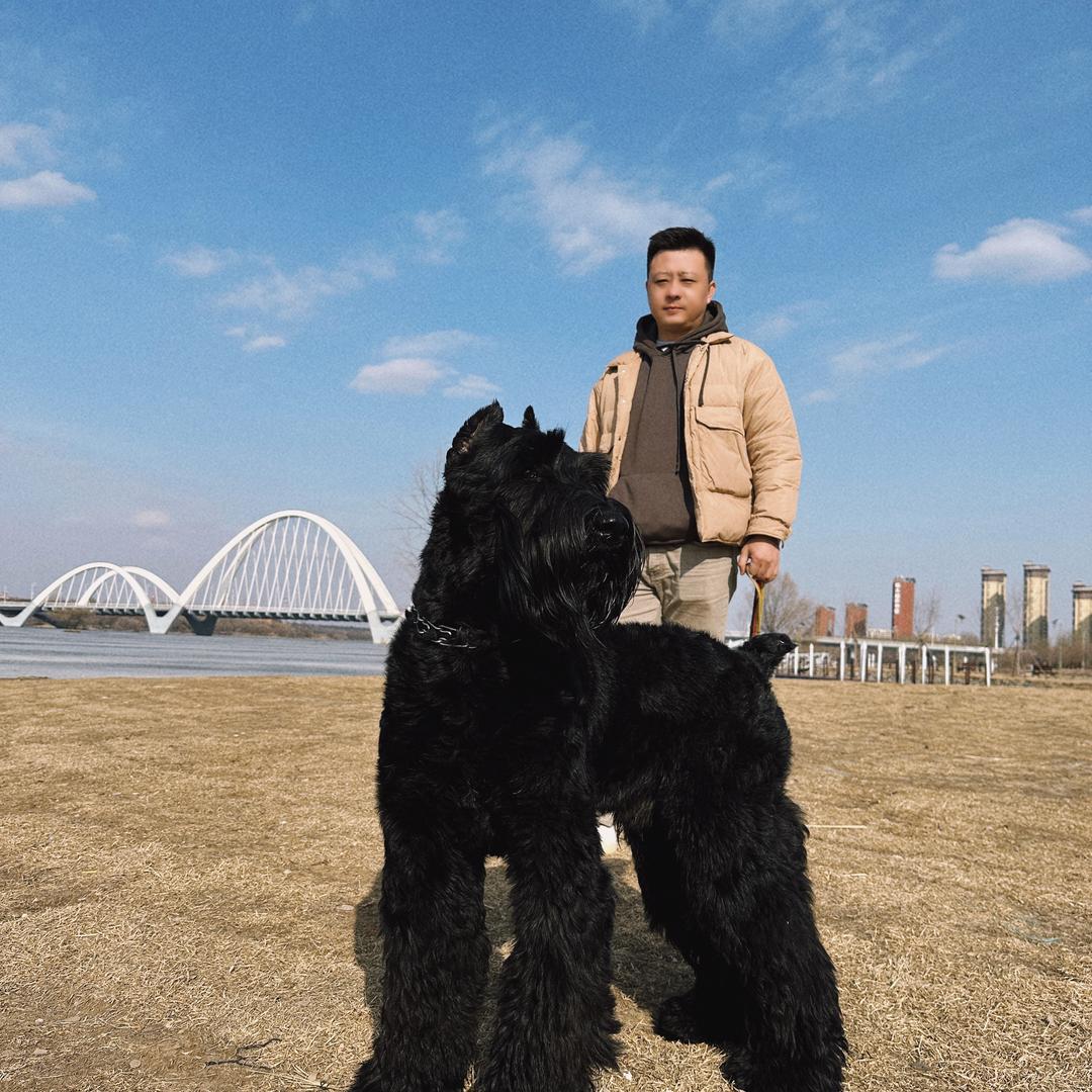 老张的大黑狗