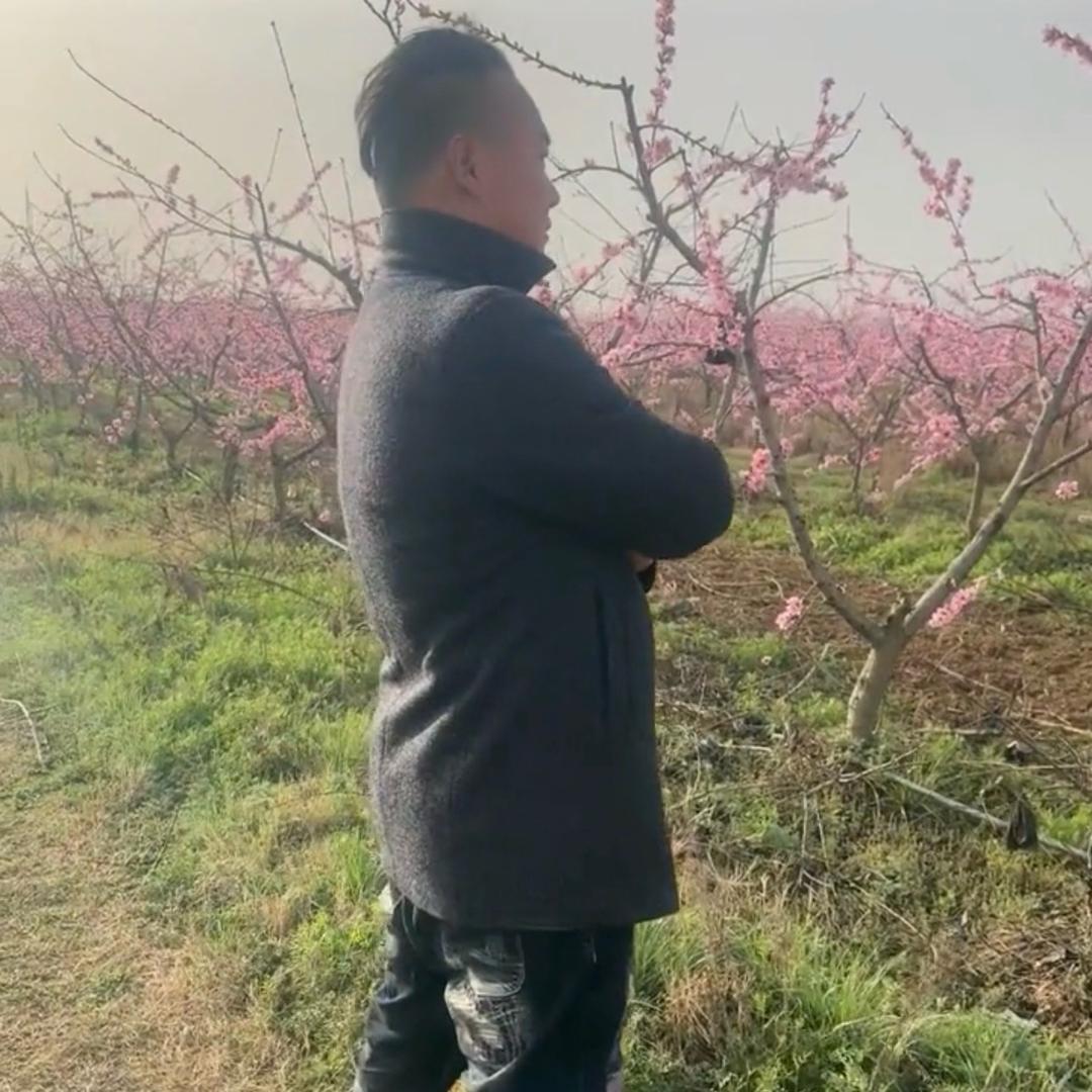 小凯同学
