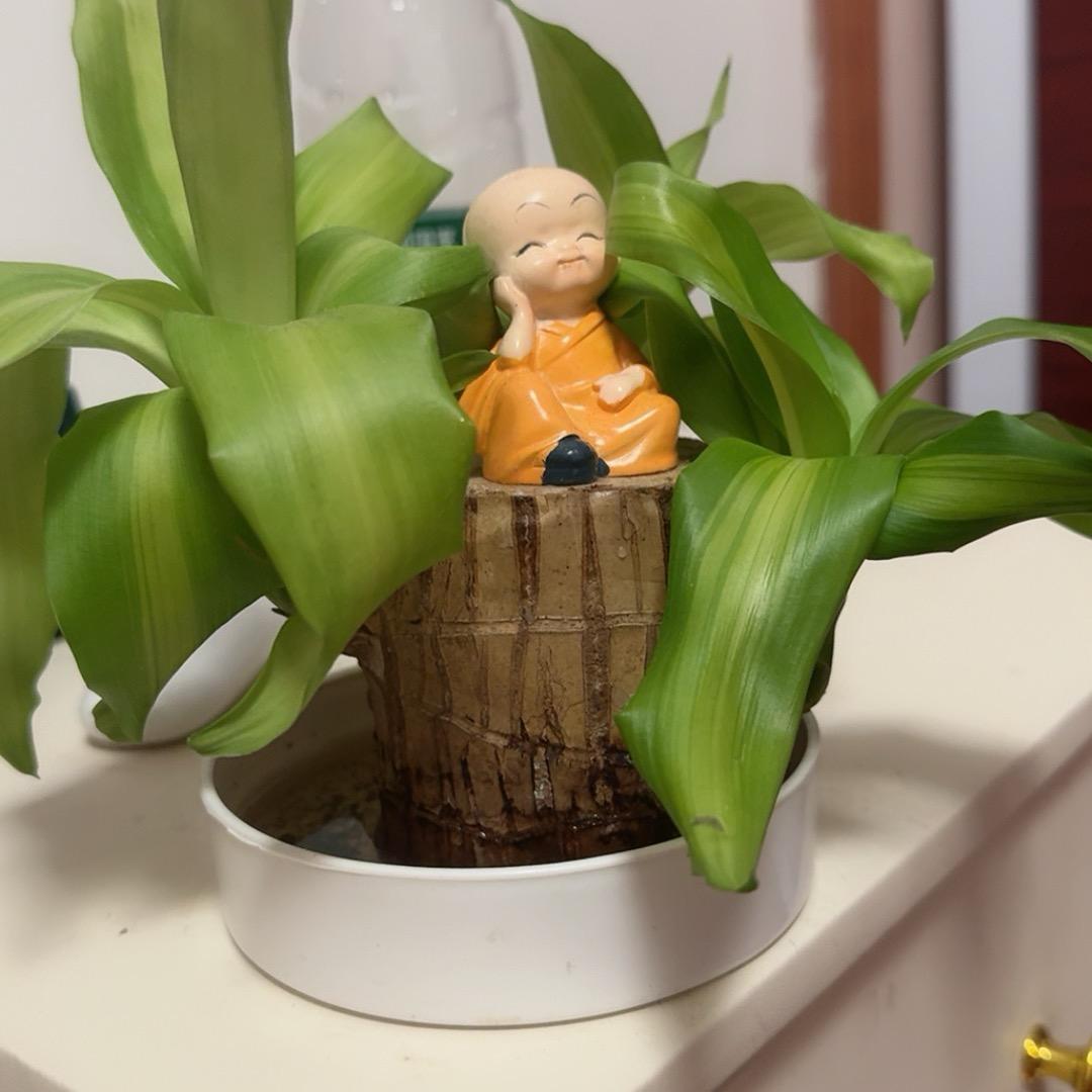 单身最自由