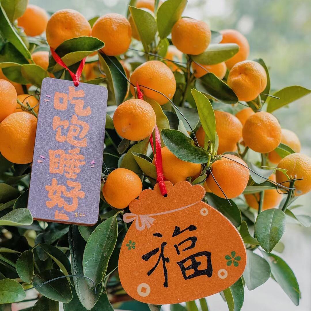 柑橘大丰收