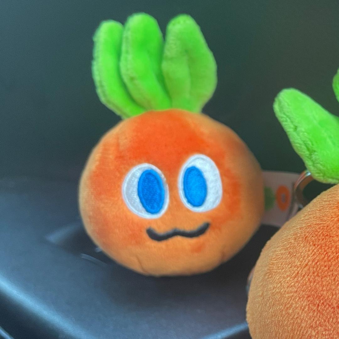 一颗单挑宇宙的🥕