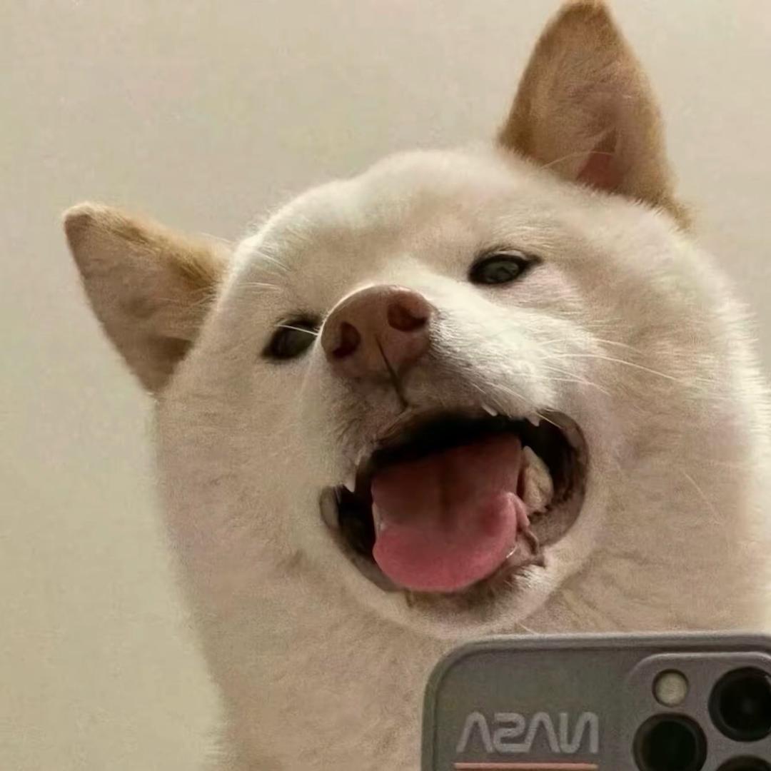 小尹没烦恼