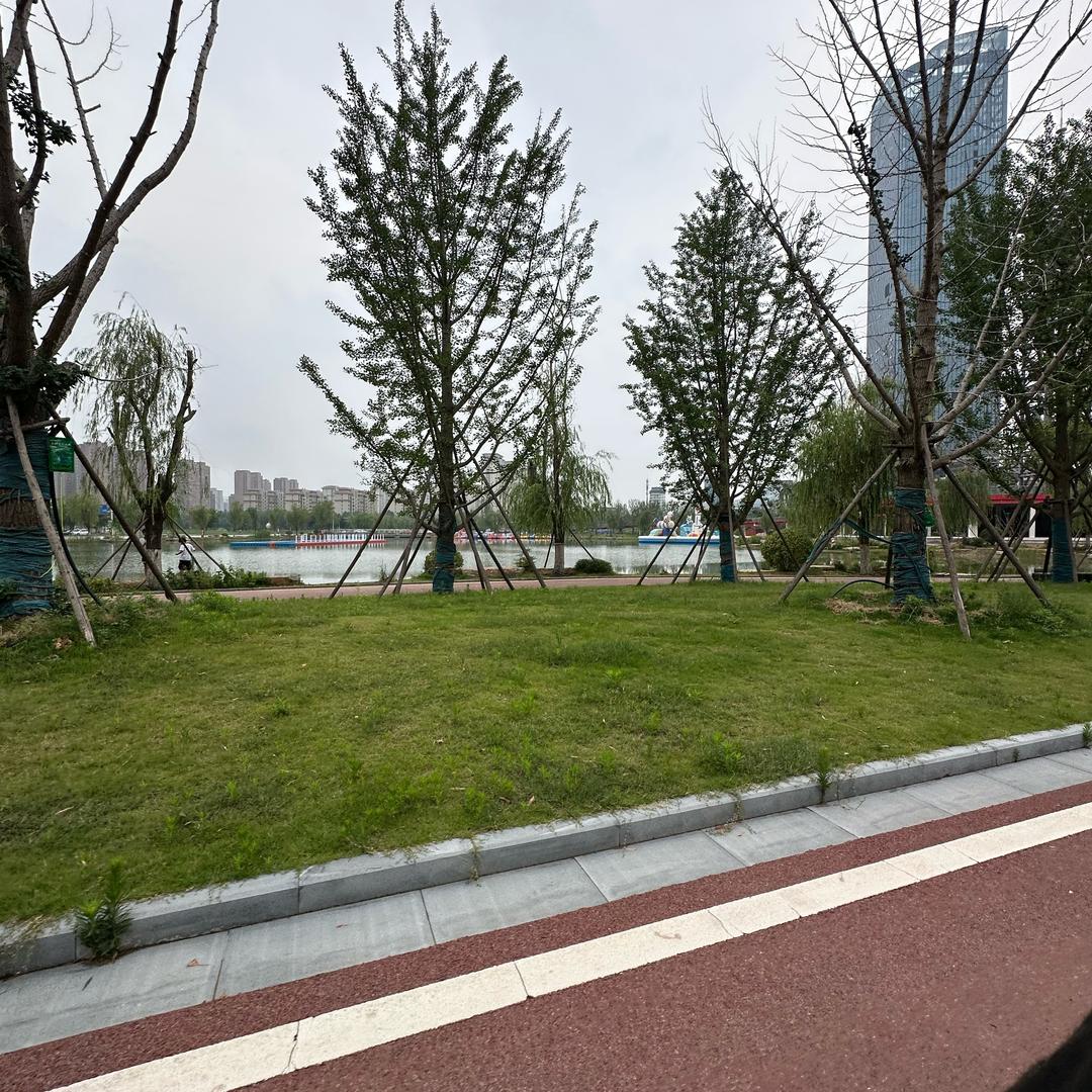 陈娜娜