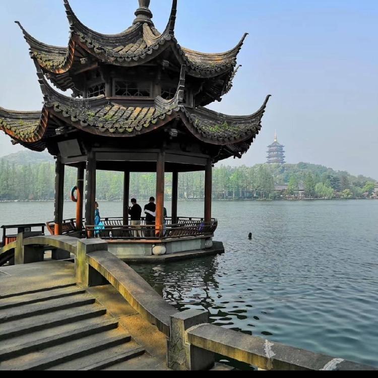 带刺的玫瑰