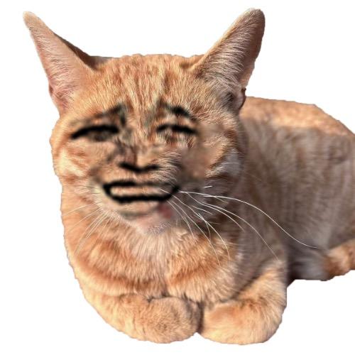 路成
