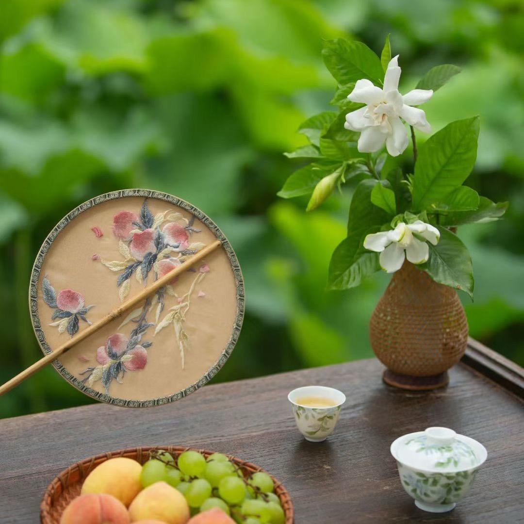 芷墨悦读